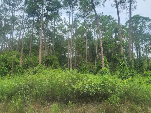 220 SE 2nd St, Georgetown, FL 32139