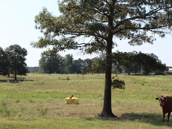 Miler County #268 & 10, Texarkana, AR 71854