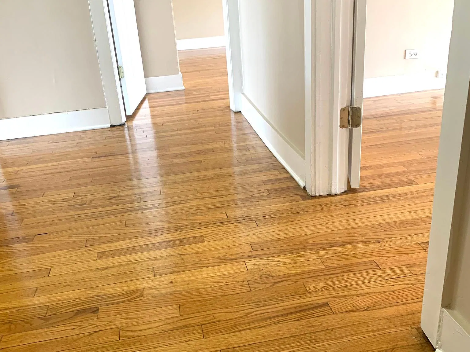 2 bed, 1100 sqft, $1,175 — Photo 2