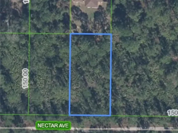 1702 Nectar Ave, Sebring, FL 33875