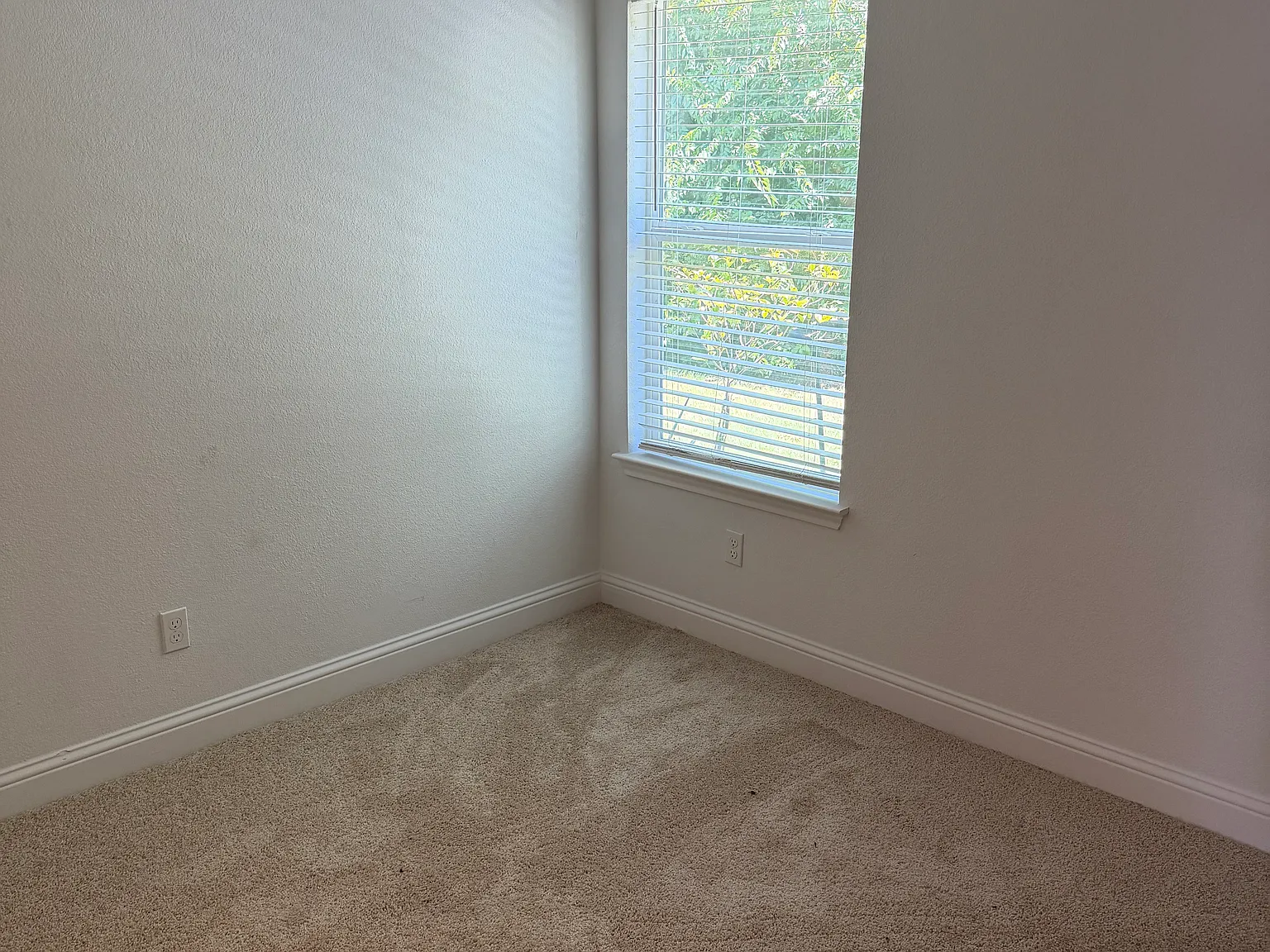 2 bed, 900 sqft, $1,595 — Photo 4