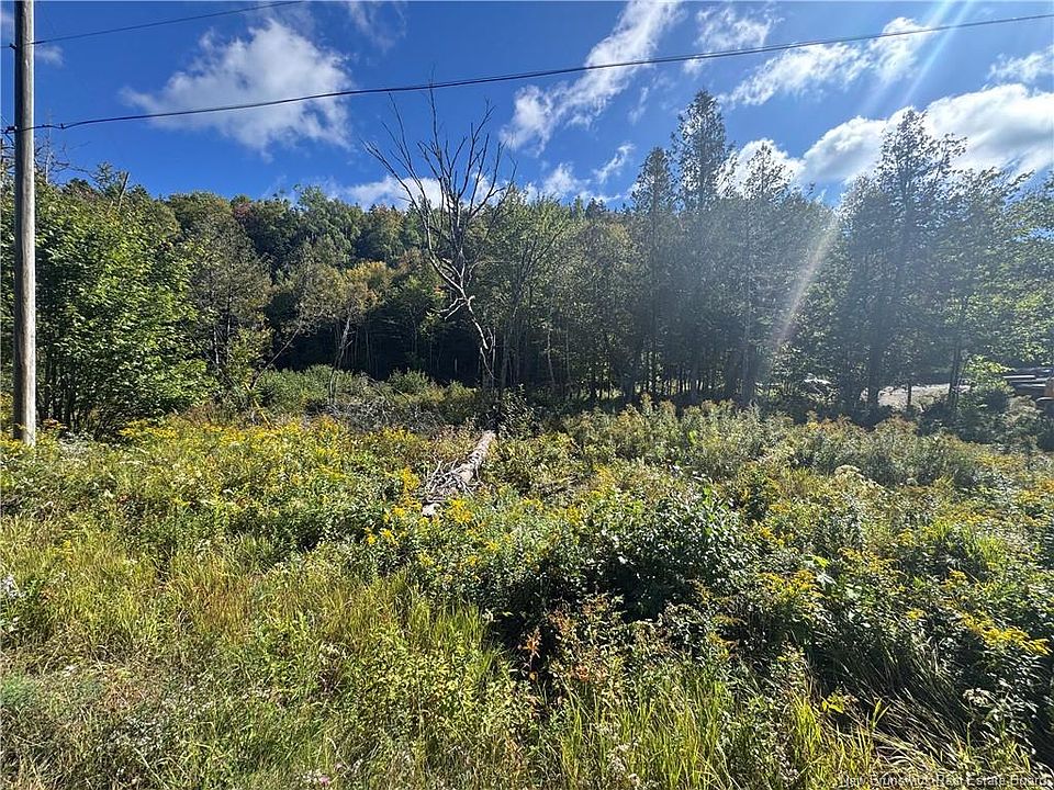 2nd image of Frye Rd
