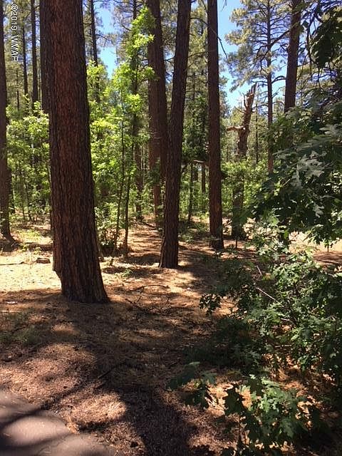 2nd image of 2658 Blue Lupine Ln