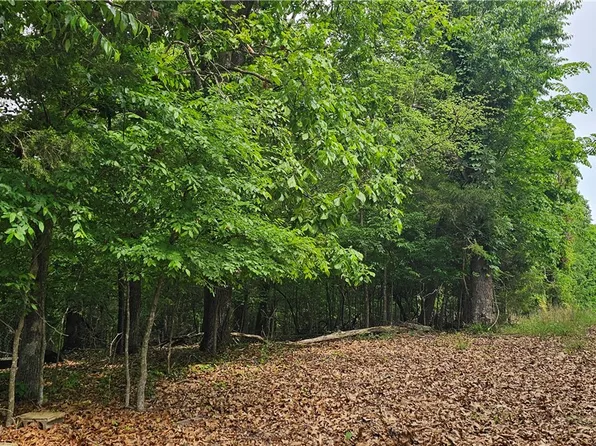 14215 Frisco Springs Rd, Lowell, AR 72745