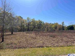 1 Diamond Branch Rd, Johnsonville, SC 29555