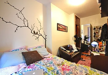 Rented by Bold New York