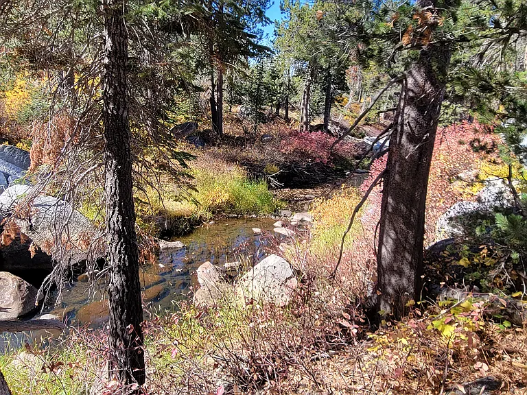 21719 Donner Pass Rd #1 — Photo 21