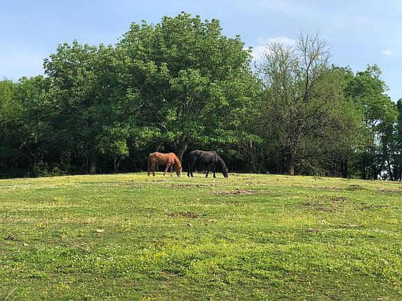Neighbors to the south