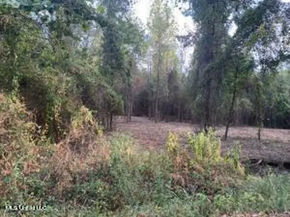2 Old Gravel Rd #49, Mendenhall, MS 39114