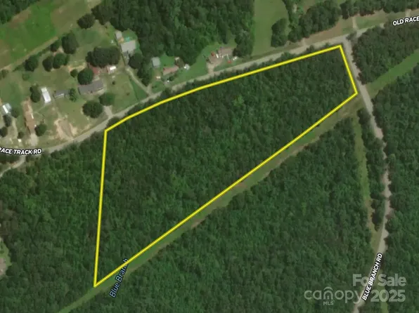 0 Blue Branch Rd Tract A, Gaffney, SC 29340