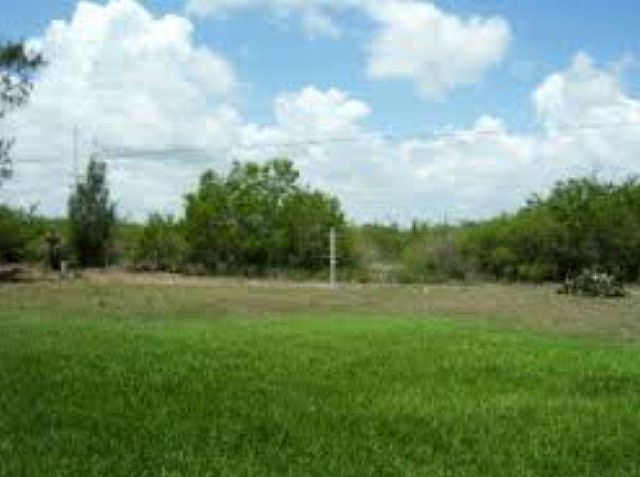 2nd image of 1121 Palm Blvd
