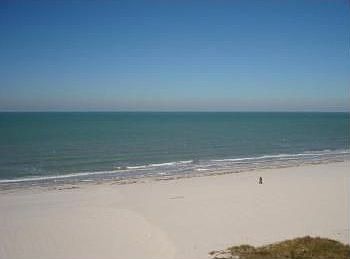 1st image of 1350 Gulf Blvd APT 703