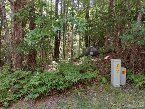 72 Isuhdavga Ct Lot 13, Brevard, NC 28712