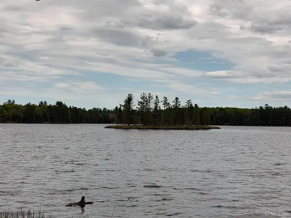 301A-301B Robinson Lake Rd, Iron River, MI 49935