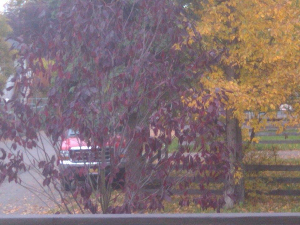 Fall view up street from front porch