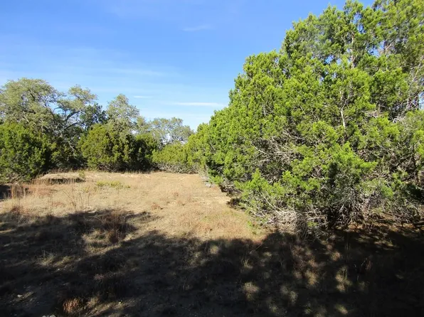 1043 Cielo Springs Dr, Blanco, TX 78606