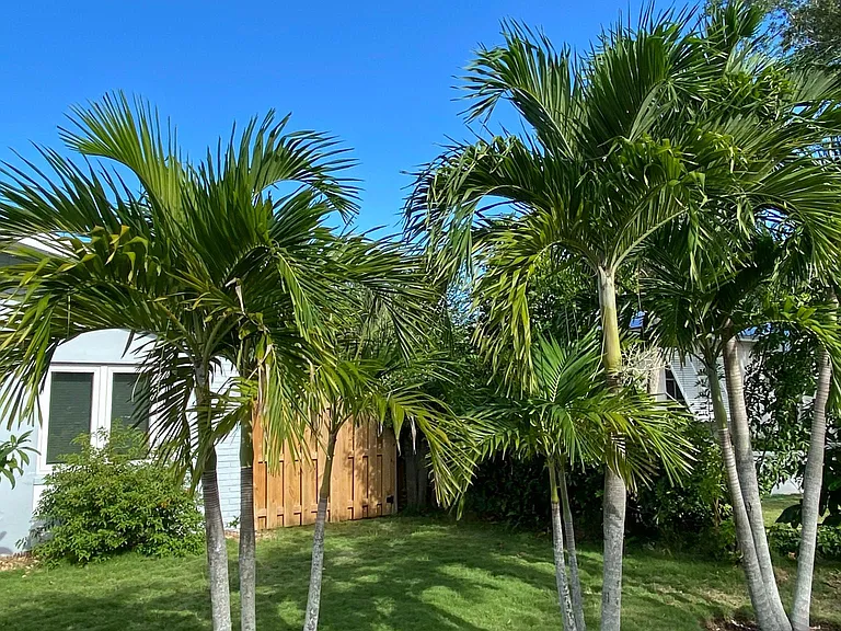 3218 Liddy Ave — Photo 2