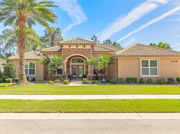 2906 Palma Ln, New Smyrna Beach, FL 32168
