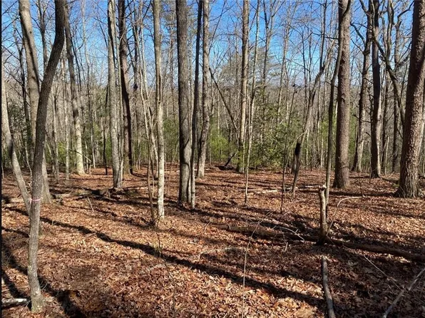 0 Cox Rd #7, Blue Ridge, GA 30513