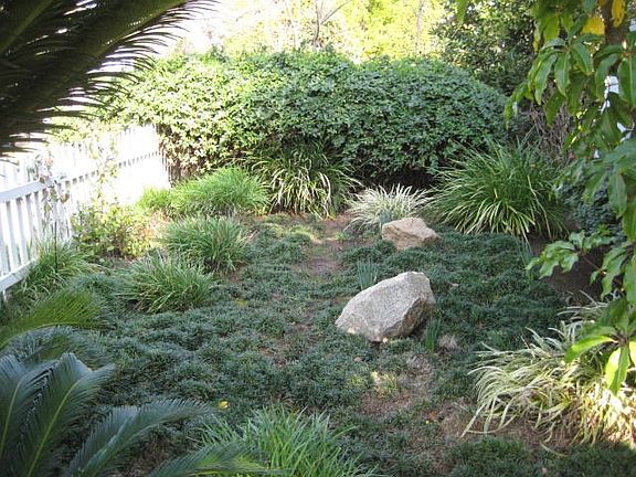 Landscaping