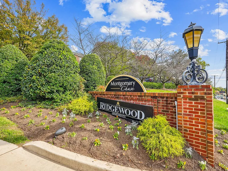 3810 Chesterwood Dr #3810 — Photo 21