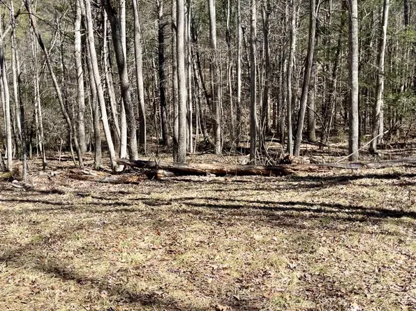 2405 Sweedlin Valley Rd, Brandywine, WV 26802