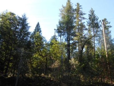 10050 W Evans Cres, Rogue River, OR, 97537