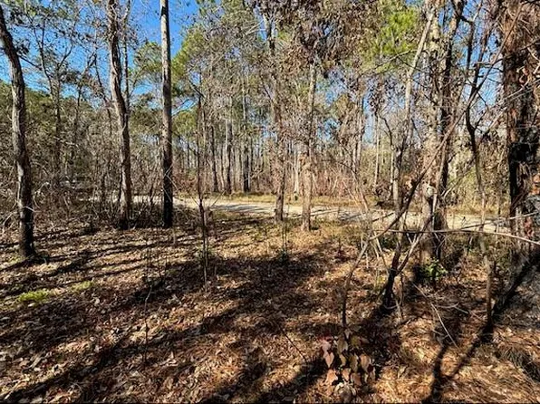 1869 Cedar Creek Cir, Coden, AL 36523