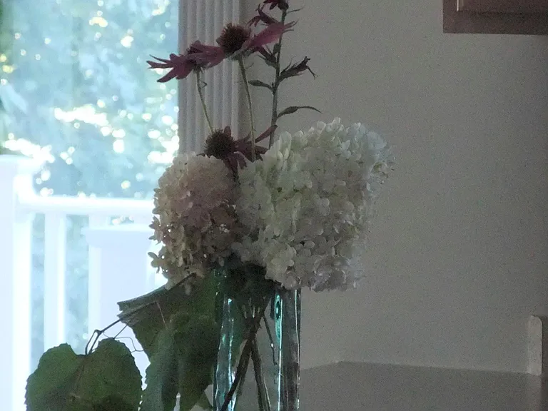 24 Pleasant St #3 — Photo 10