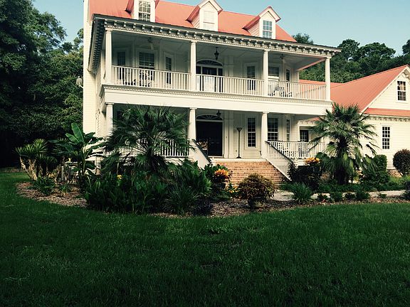 Palms & Banana plants abound
