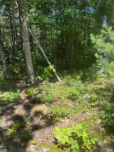 7 Shackleton's Way, Boothbay, ME, 04537