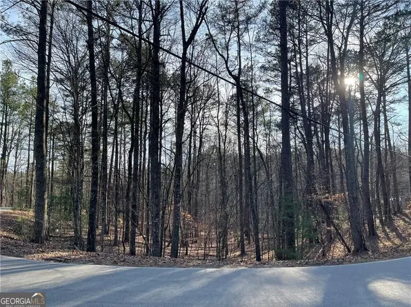 397EM Lemmon Dr, Ellijay, GA 30540