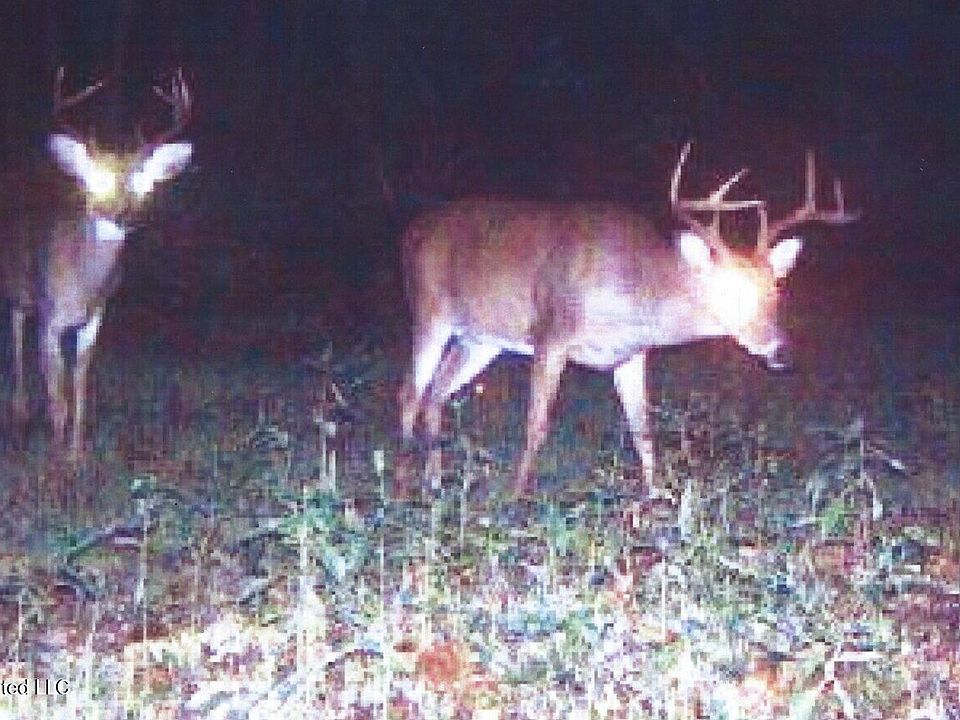 1st image of 180 County Road 611