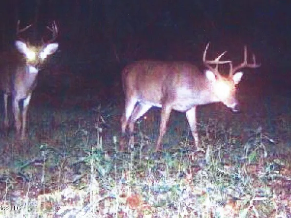 180 County Road 611, Walnut, MS 38683