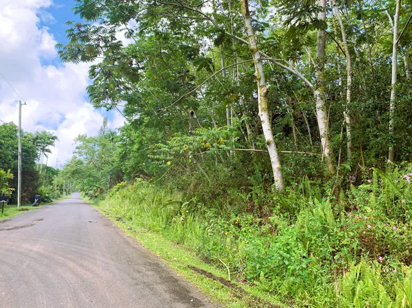 Pomaikai St Lot 59, Pahoa, HI 96778