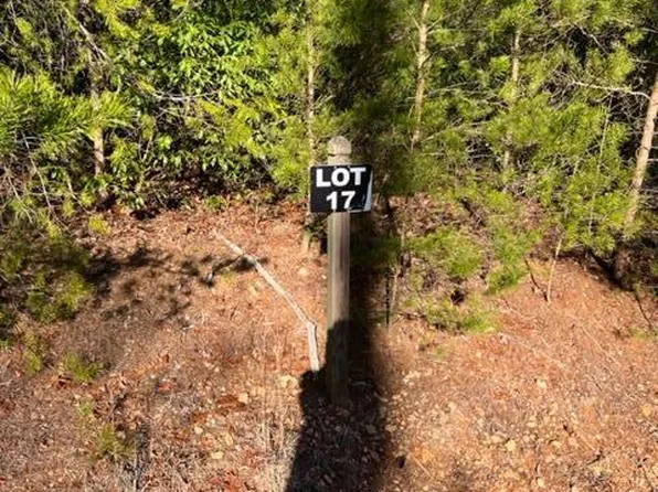 LOT 17 Frances Dr, Ellijay, GA 30536