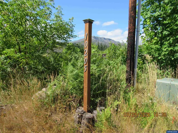 10205 N Fork Ln SE, Lyons, OR 97358