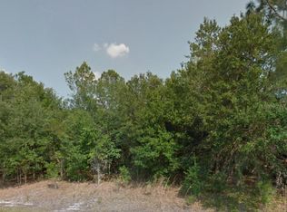 246 Spoonbill Dr, Poinciana, FL 34759