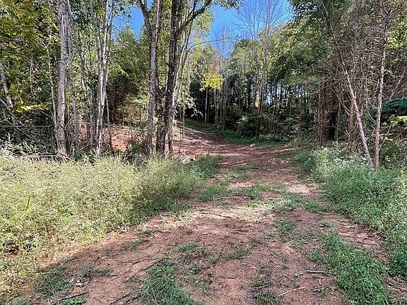3rd image of Highway 53 Burkesville Hwy