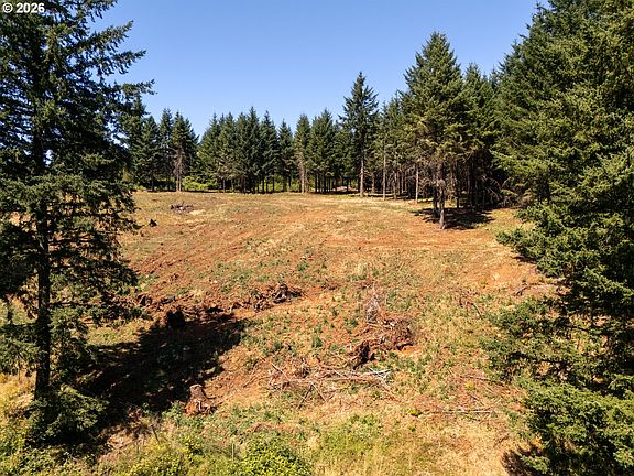 3rd image of NE Old Parrett Mountain Rd #2