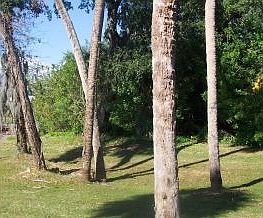 4th image of 148 Ocean Garden Ln