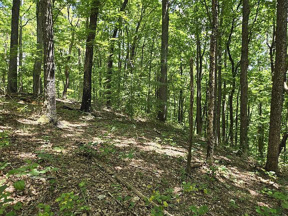 5th image of 16 Seals Hollow Rd