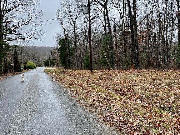 5th image of 60 Laurel Dr
