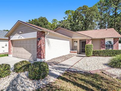 11901 Snapdragon Rd, Tampa, FL, 33635