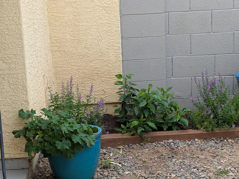 455 S Mesa Dr #137 — Photo 19