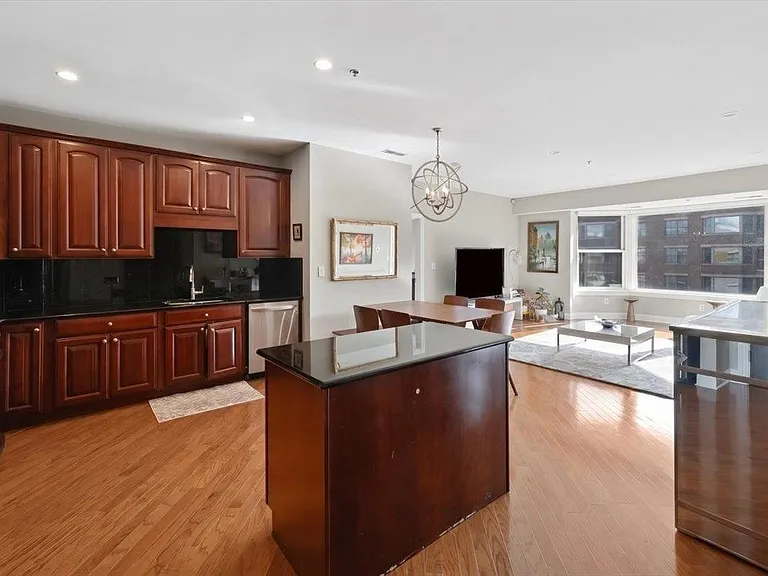 20 Avenue At Port Imperial #429 — Photo 4