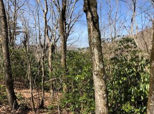 Continental Divide Rd, Spruce Pine, NC 28777