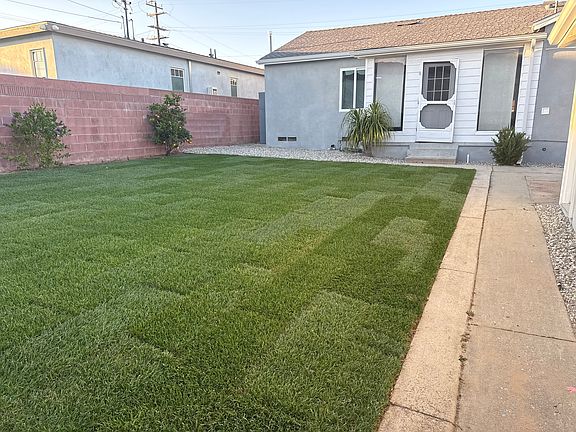 back yard