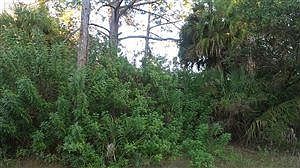 2nd image of 1506 Desoto Ave