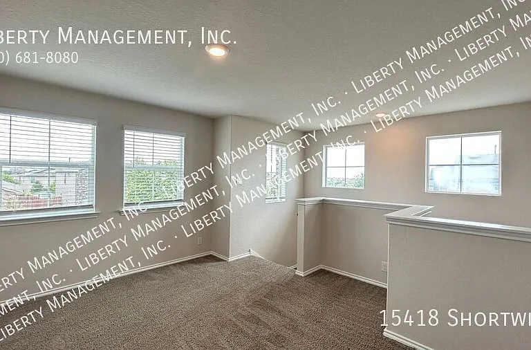 15418 Shortwing — Photo 18